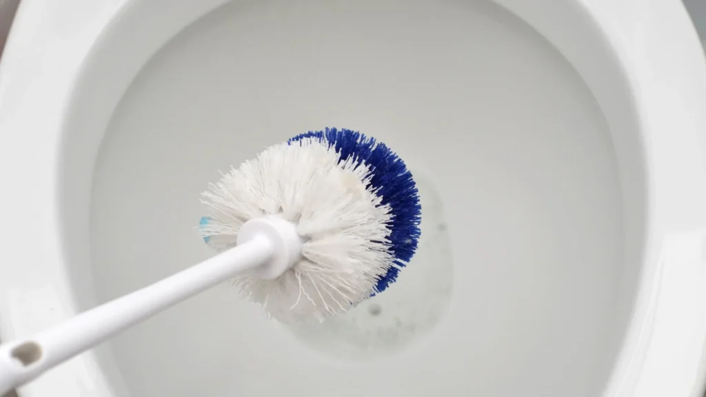 Toilet Brush Manufacturer And Supplier - new leader